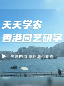 与香港园艺学会联合举办香港园艺研学，专业园境师带队讲解。