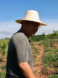 农业人叶涛，50多岁通讯人跨界搞农业，他要用1000万打造一个梦。